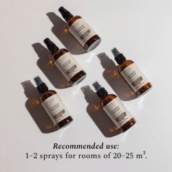 Parfum d’intérieur Wishes & Crumble 100 ml FEHU