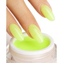Soft Clivia Gel