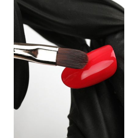 Brush Oval 6