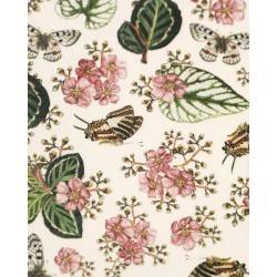 Naildress Slider Design 112 Charm