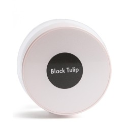 Black Tulip